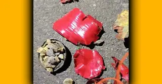 টাঙ্গাইলের সখিপুরে কক‌টেল বিস্ফোরণ; দুই ভাই আহত